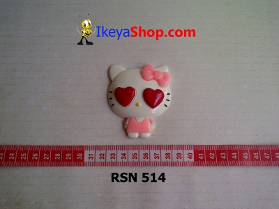 rsn 514  large2